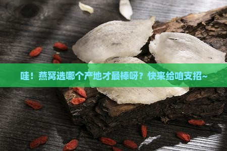 燕窝选择哪个产地好些呢