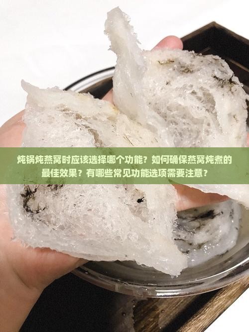 炖锅炖燕窝用什么功能