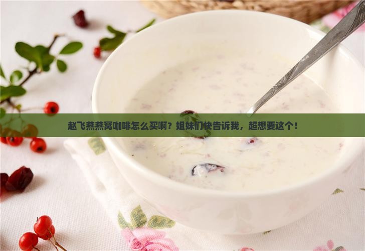 赵飞燕燕窝咖啡怎么买