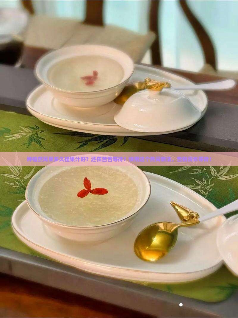 种植燕窝果多久挂果汁好