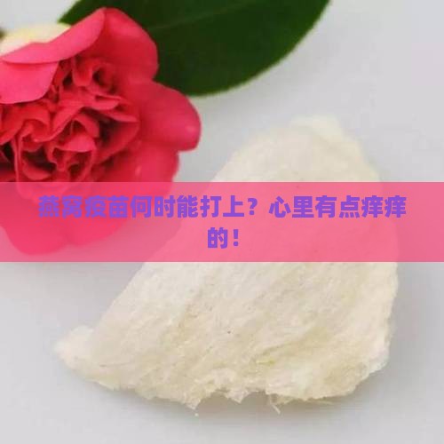 什么时候可以打燕窝疫苗