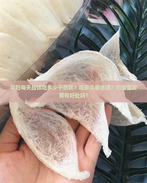 孕妇每天摄入多少干燕窝