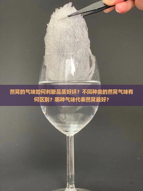 燕窝一般什么气味的最好 燕窝一般什么气味的最好