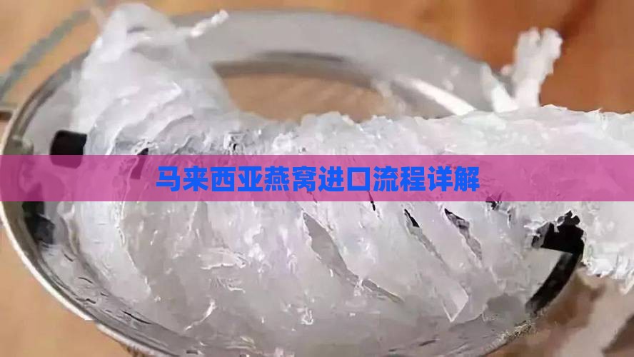 怎么进口马来西亚燕窝