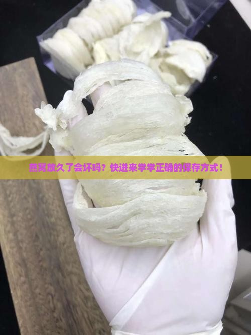 燕窝怎么保存是正确的