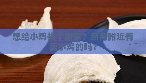 燕窝哪里有卖小鸡的地方