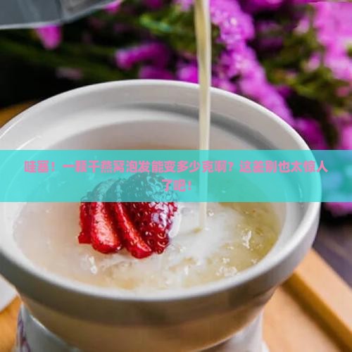 一颗干燕窝泡发多少克