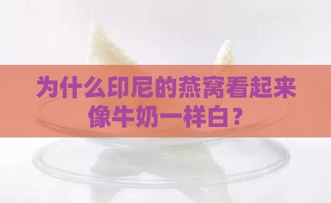 为什么印尼的燕窝偏白呢