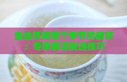 金丝燕窝哪个季节的最好