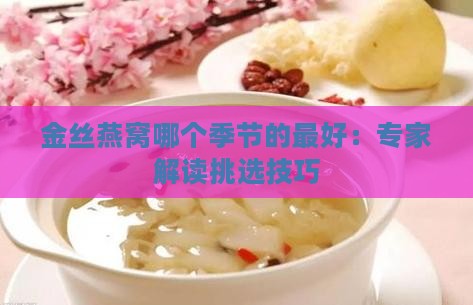 金丝燕窝哪个季节的最好