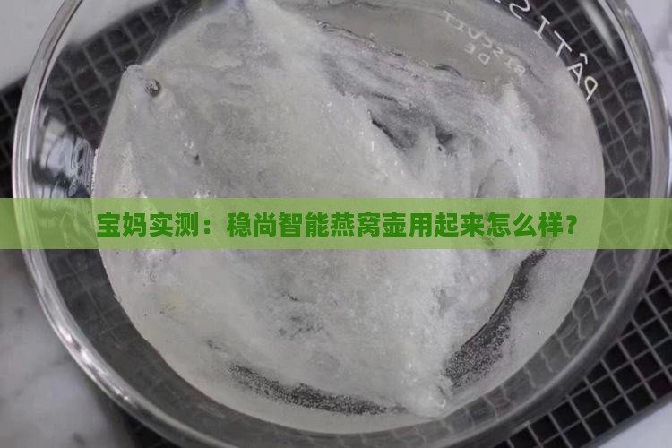 稳尚智能燕窝壶怎么用