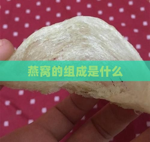 燕窝是什么和什么组成的