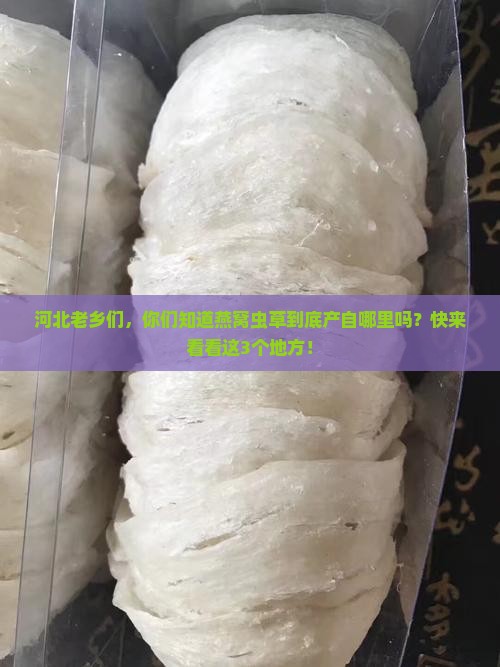 河北燕窝虫草产地是哪里