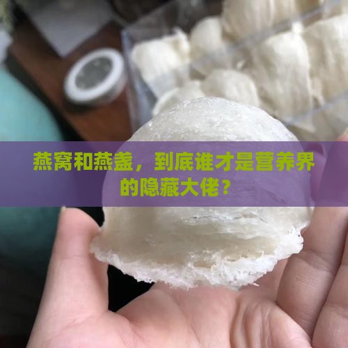 燕窝和燕盏哪个营养高