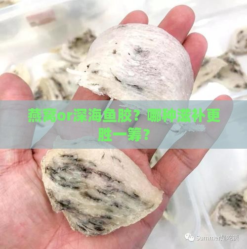 燕窝和深海鱼胶哪个好