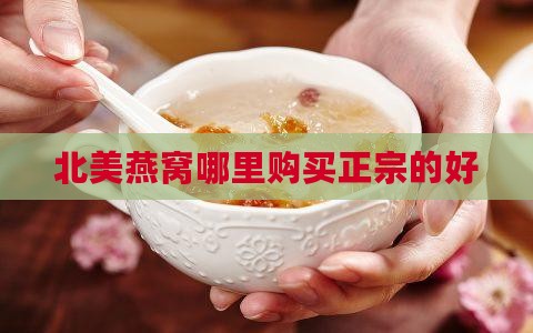 北美燕窝哪里买正宗的好