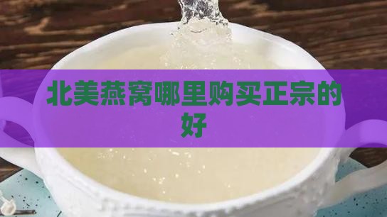 北美燕窝哪里买正宗的好