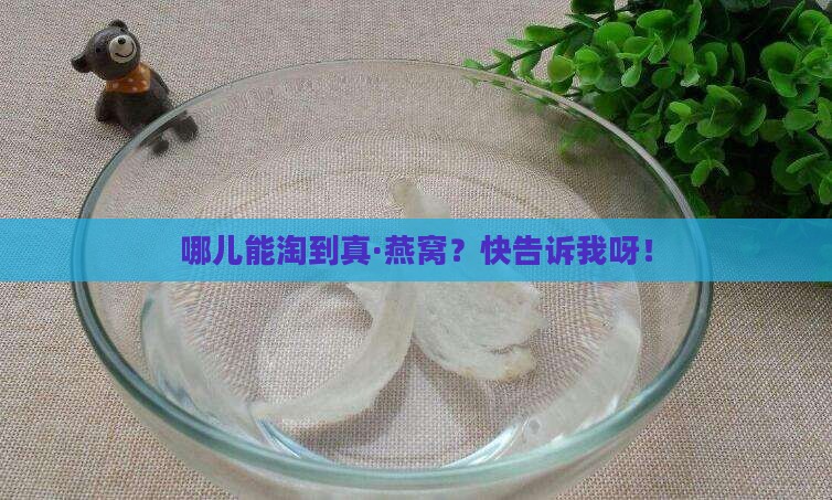 到哪里买得到正宗的燕窝