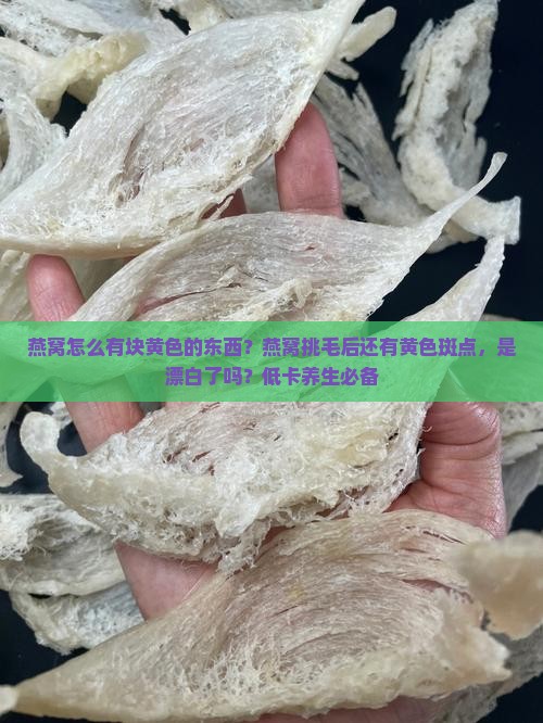燕窝怎么有块黄色的东西