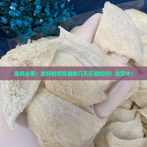 发好的燕窝可以放多久