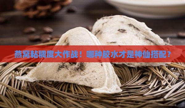 燕窝用的什么胶水好粘稠