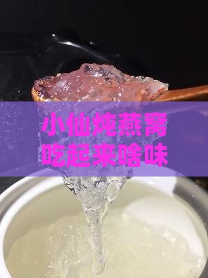 小仙炖燕窝是什么口味的