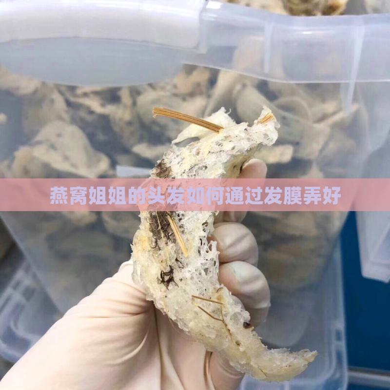 燕窝姐姐头发怎么弄的好