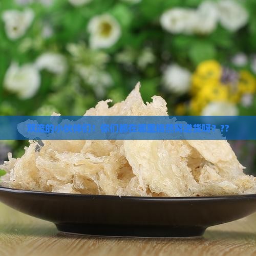 双流批发燕窝在哪里进货 双流批发燕窝在哪里进货