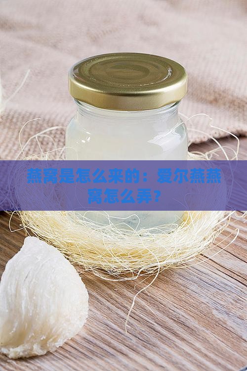 爱尔燕燕窝是怎么弄来的