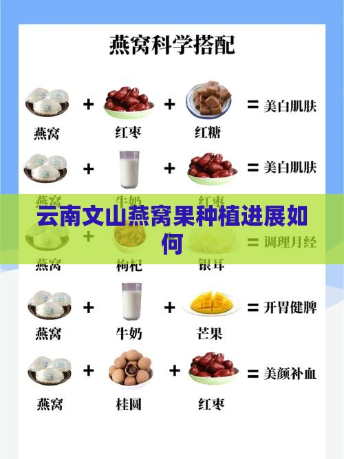 文山种植燕窝果怎么样了