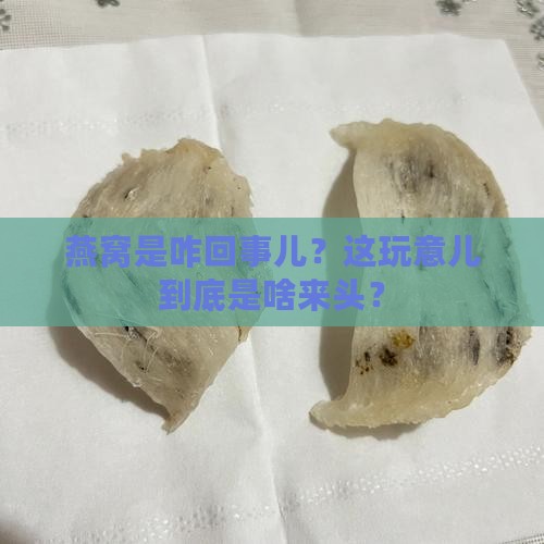 燕窝这个东西是怎么来的