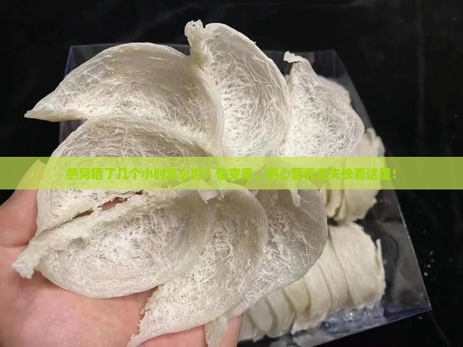 燕窝晒了几个小时怎么办