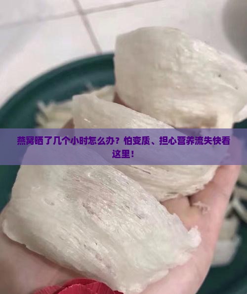 燕窝晒了几个小时怎么办