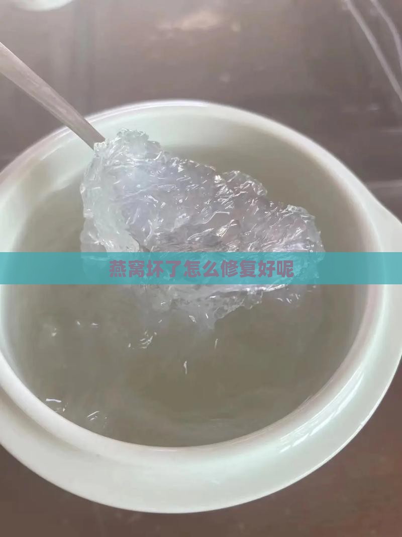 燕窝坏了怎么修复好呢