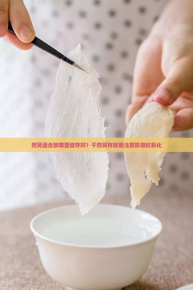 燕窝适合放哪里储存好