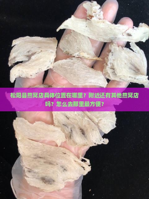 松阳县燕窝店在哪里啊