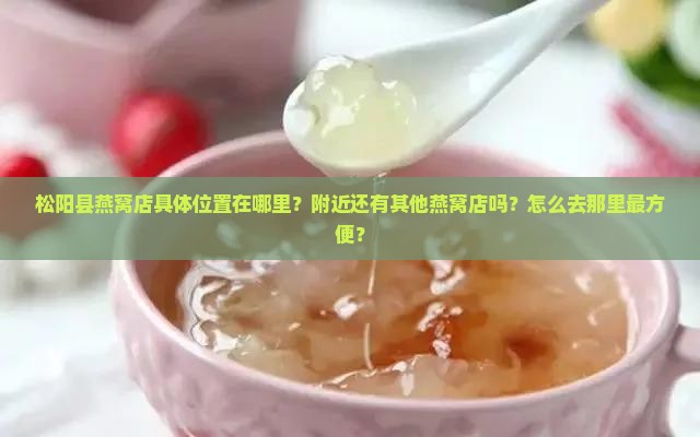 松阳县燕窝店在哪里啊
