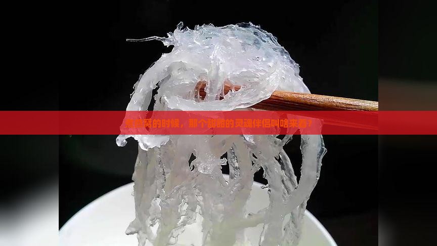 煮燕窝放的糖叫什么来着