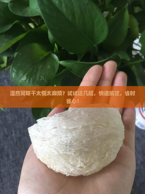湿燕窝怎么晾干的最快呢