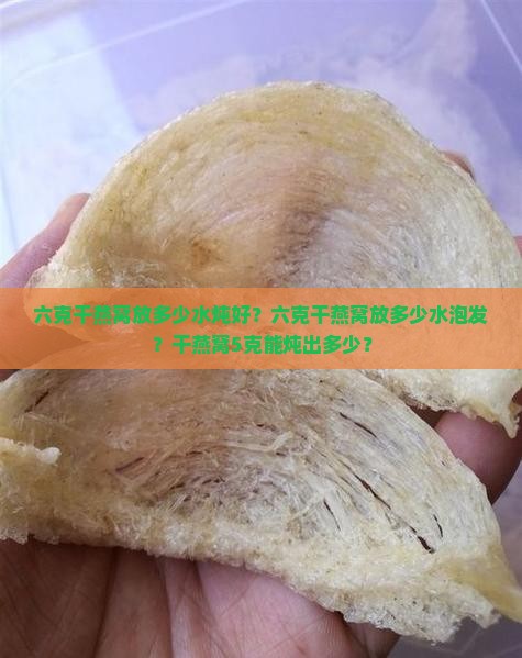 六克干燕窝放多少水炖