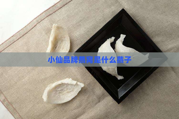 小仙炖燕窝是什么燕子