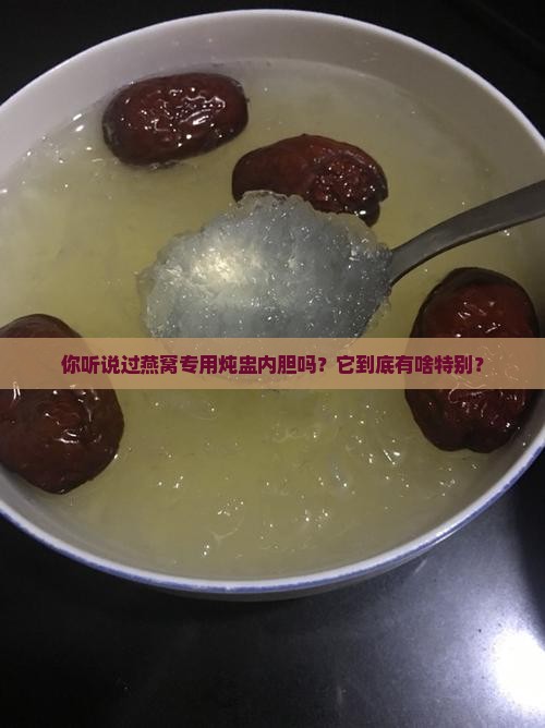 燕窝专用炖盅内胆是什么