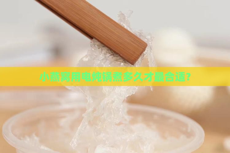小燕窝电子炖锅煮多久