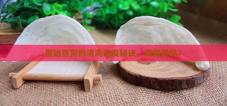 原始燕窝如何清洗泡发的