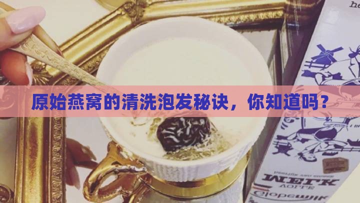 原始燕窝如何清洗泡发的