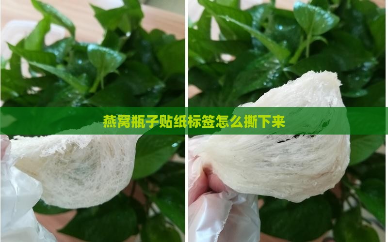 燕窝瓶子贴纸怎么撕下来