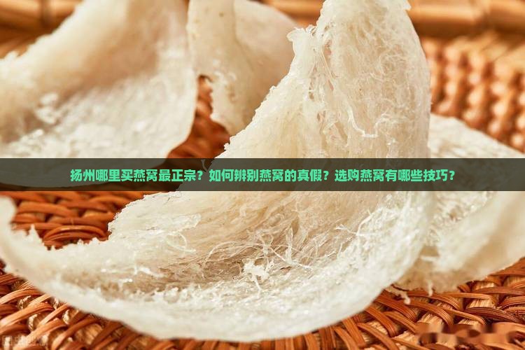 扬州哪里买燕窝最正宗