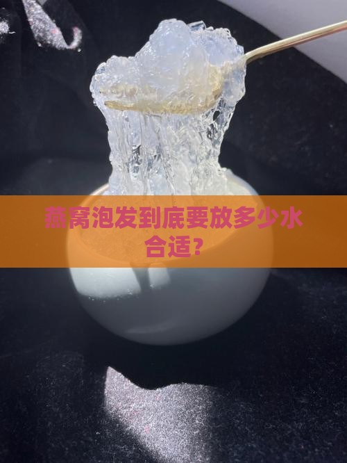 燕窝泡发份量是多少度