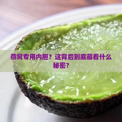 燕窝专用内胆是什么意思