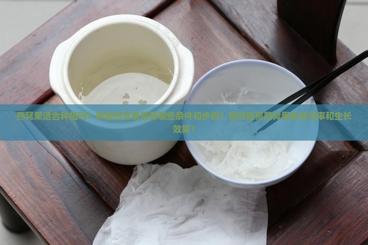 适合种燕窝果吗怎么种的